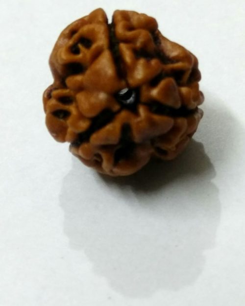 3 mukhi cata