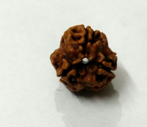 3 Mukhi CA