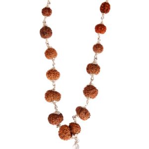 Indonesian Siddha Mala (Gauri Shankar  1-14 Mukhi)