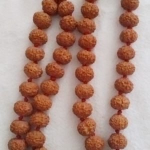 7 Mukhi Rudraksh Mala Indonesian15mm.                               (54+1)Beads