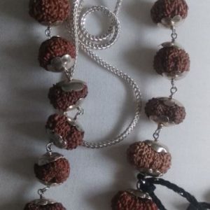 Indonesian 1-21 Mukhi Rudraksha Indra Mala