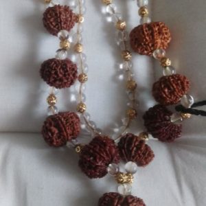 Nepali Siddha Mala (Gauri Shankar  1-14 Mukhi)