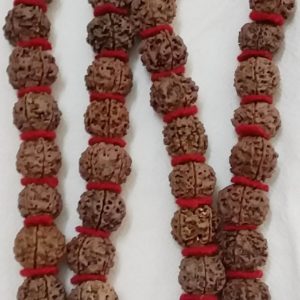 5 (panch )mukhi nepali Rudraksh 54+1 beads  kantha .18-20 mm