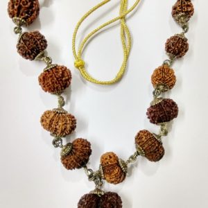 Nepali Siddha Mala (Gauri Shankar  1-14 Mukhi)